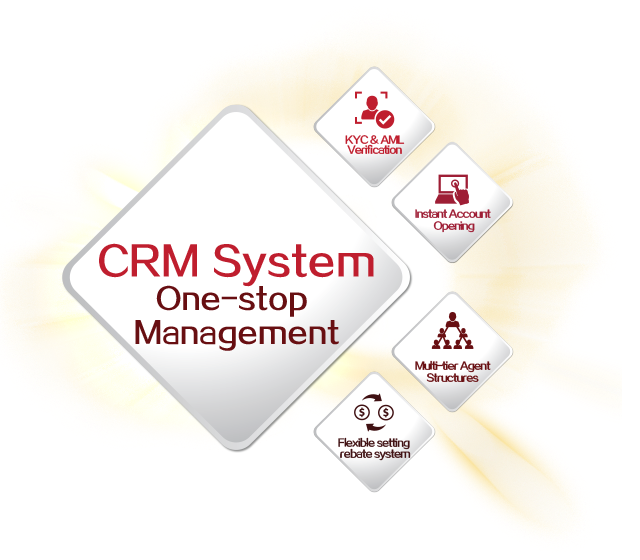 mF CRM System